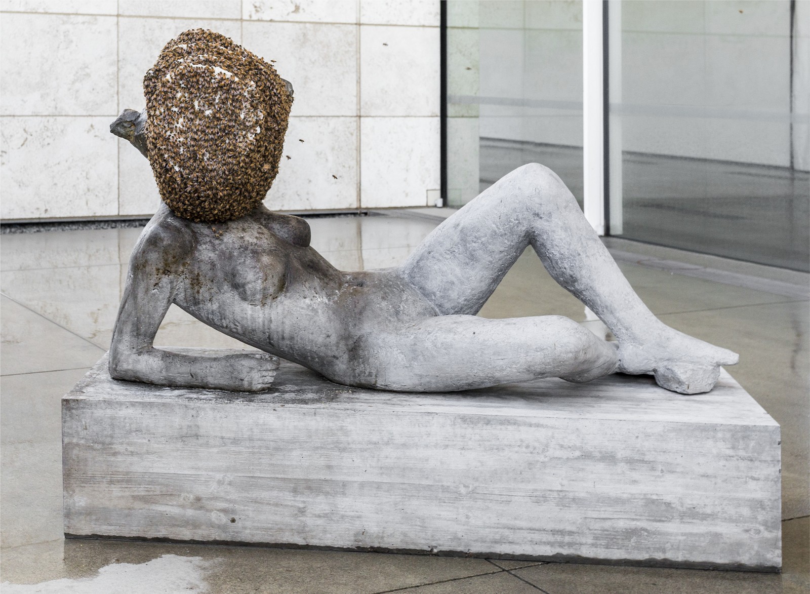 Installation Photograph, ​​Pierre Huyghe, LACMA