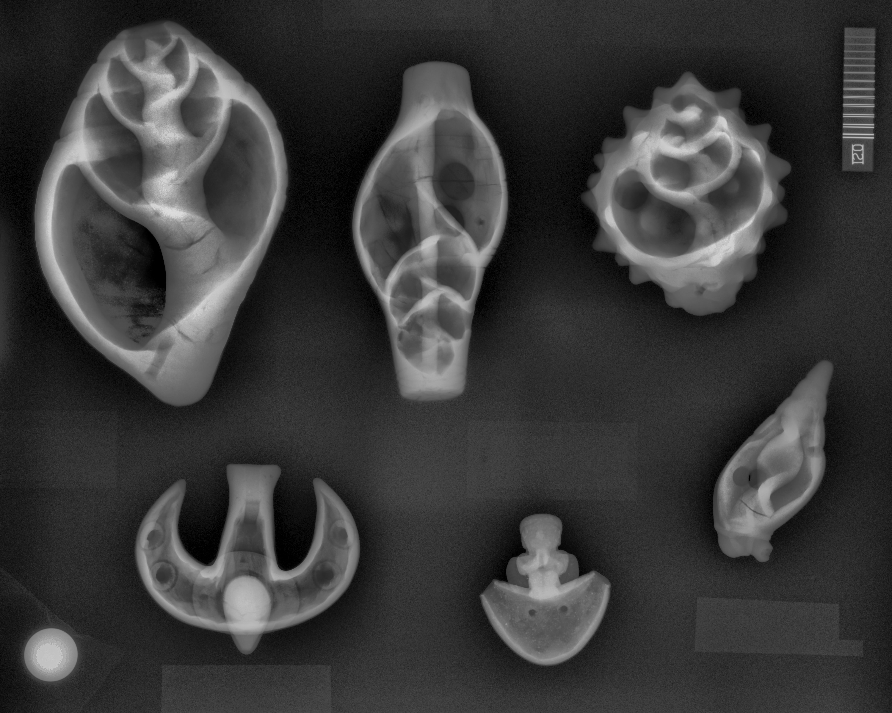 Image of Ocarinas X-Ray