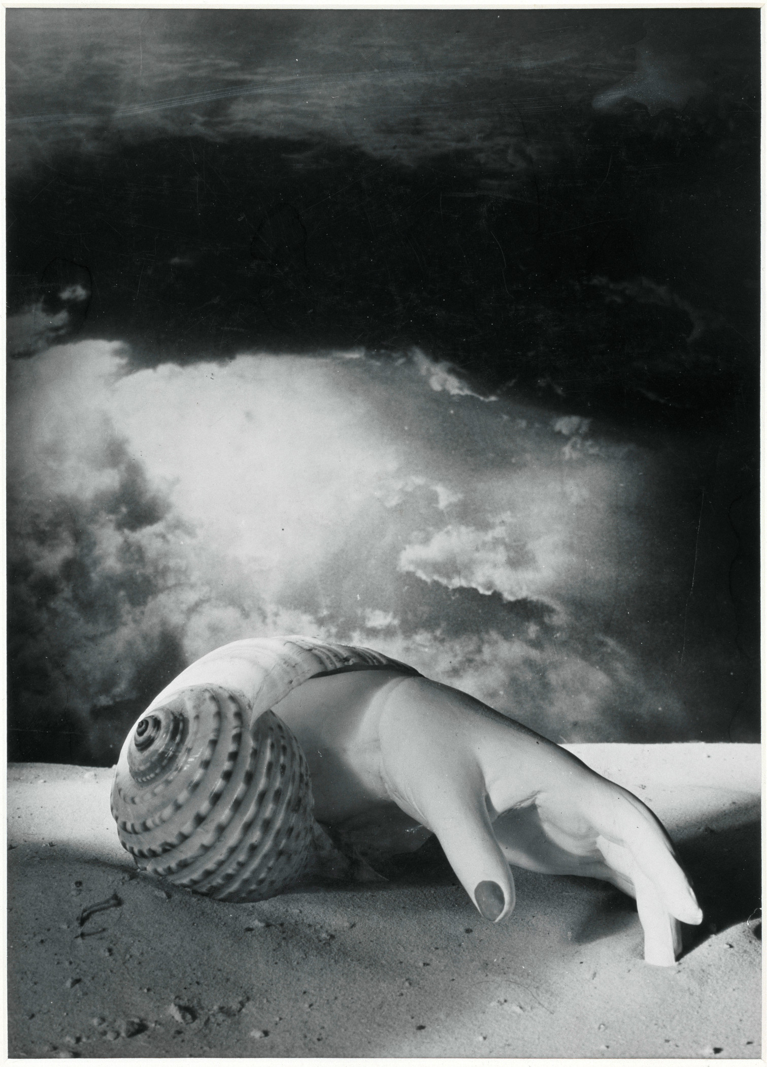 Dora Maar, Untitled (Hand-Shell), 1934