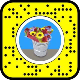 Ochoa Snapcode