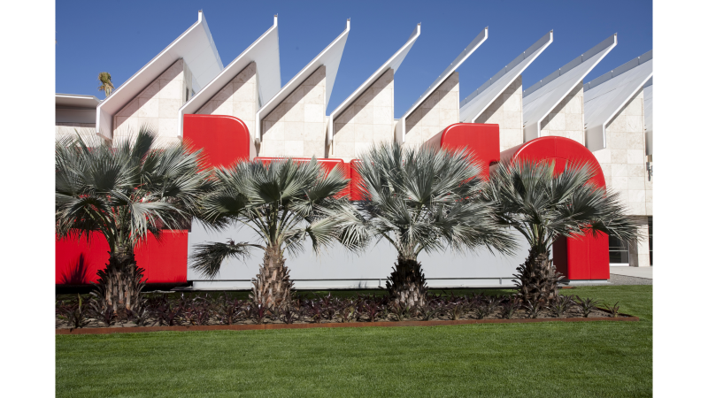 row of palm trees