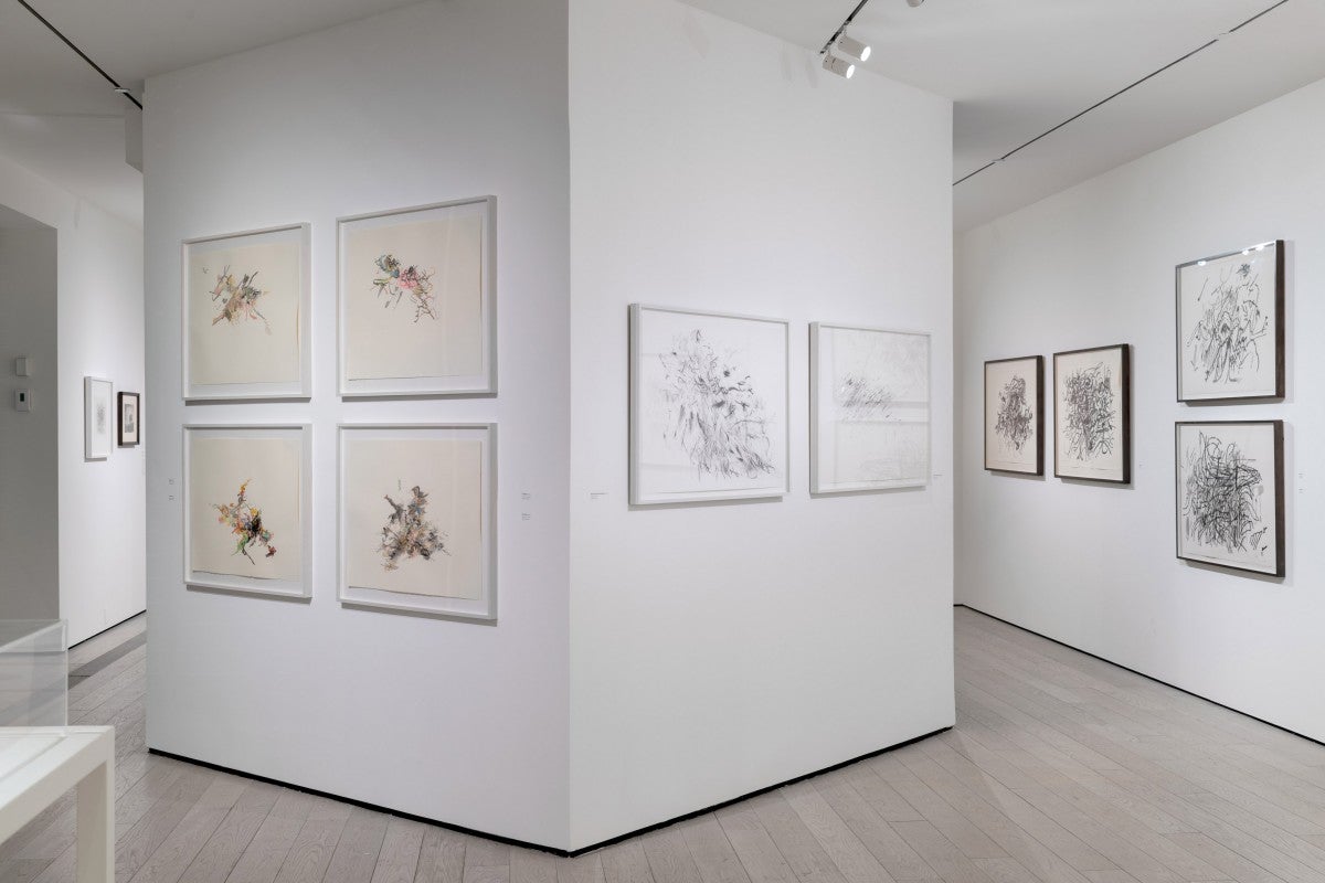 Installation photograph, Julie Mehretu, Los Angeles County Museum of Art, 2019–2020, art © Julie Mehretu, photo © Museum Associates/LACMA