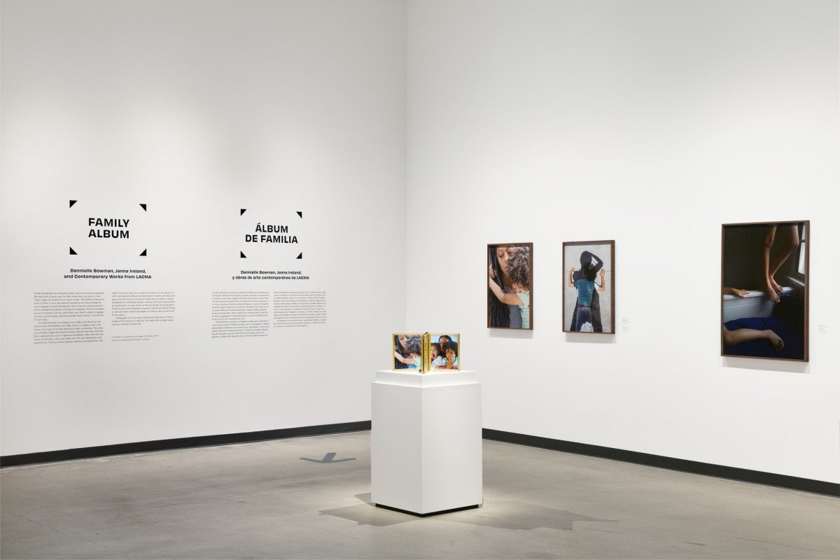 Installation photograph, Family Album: Dannielle Bowman, Janna Ireland and Contemporary Works from LACMA